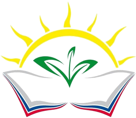 Моя педагогическая деятельность